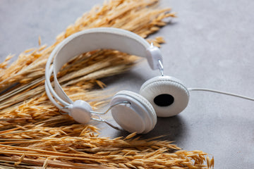 Best Headphones In Pakistan 2024